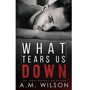 What Tears Us Down by A. M. Wilson