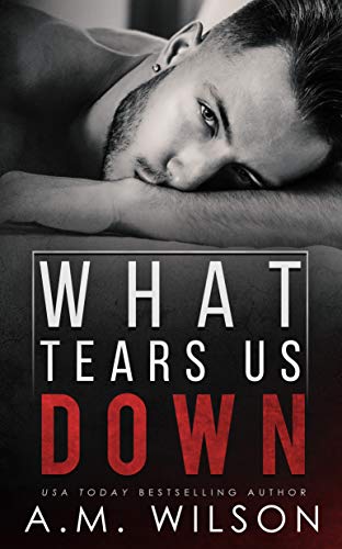 What Tears Us Down by A. M. Wilson