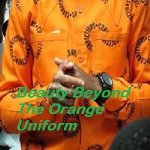Beauty-Beyond-The-Orange-Uniform-download.jpg