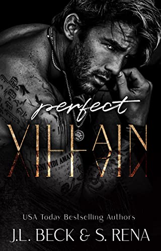 Perfect Villain by J.L. Beck