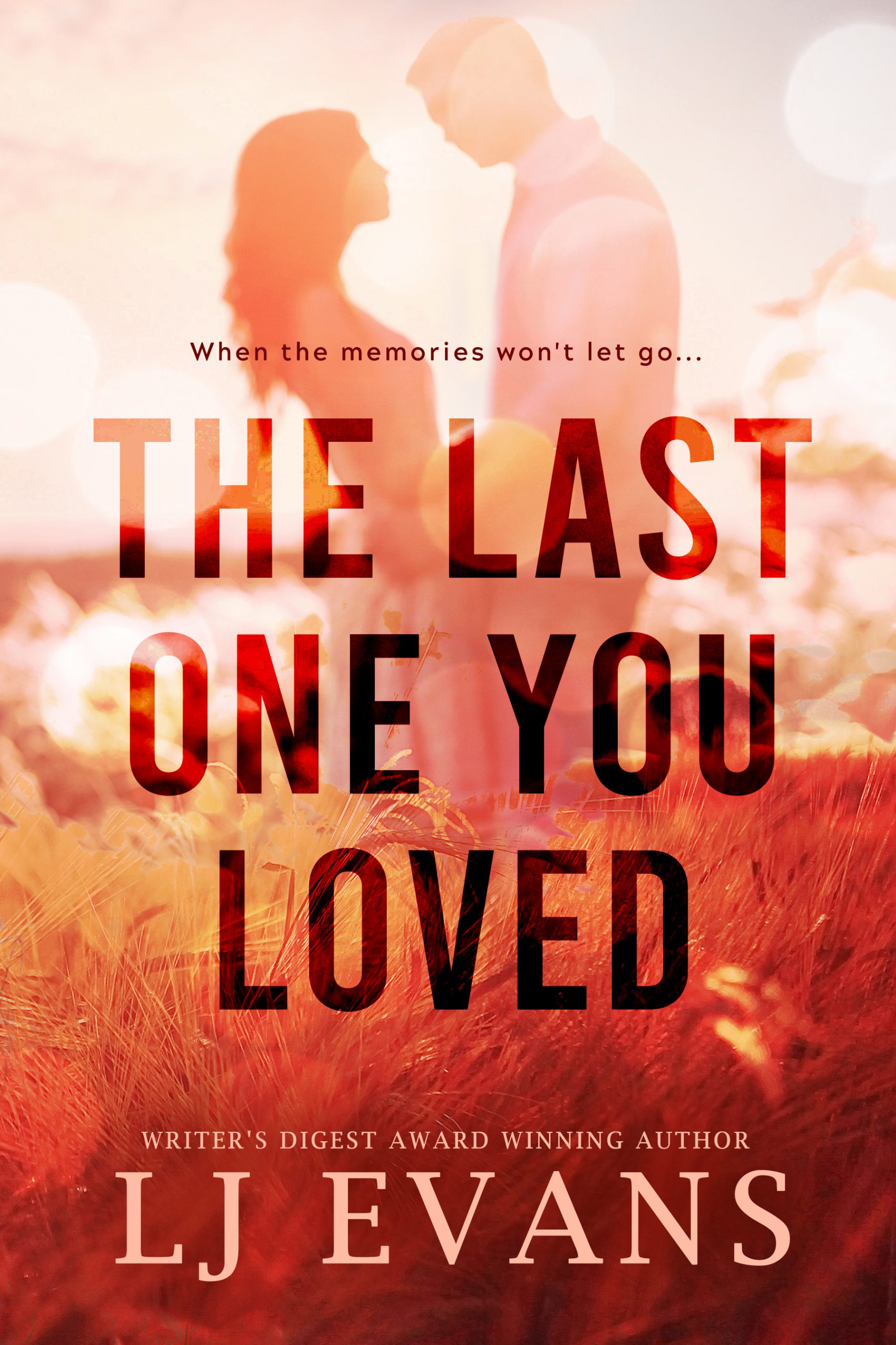 The Last One You Loved by LJ Evans