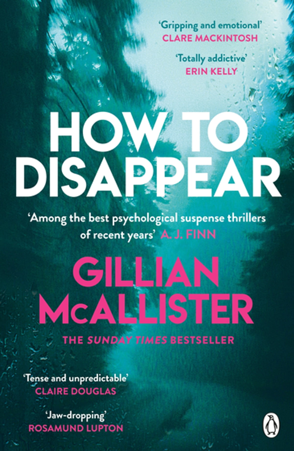 How to Disappear by Gillian McAllister PDF Download