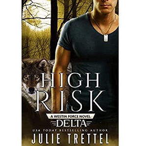 High Risk by Julie Trettel