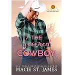 The Scorned Cowboy by Macie St. James PDF Download