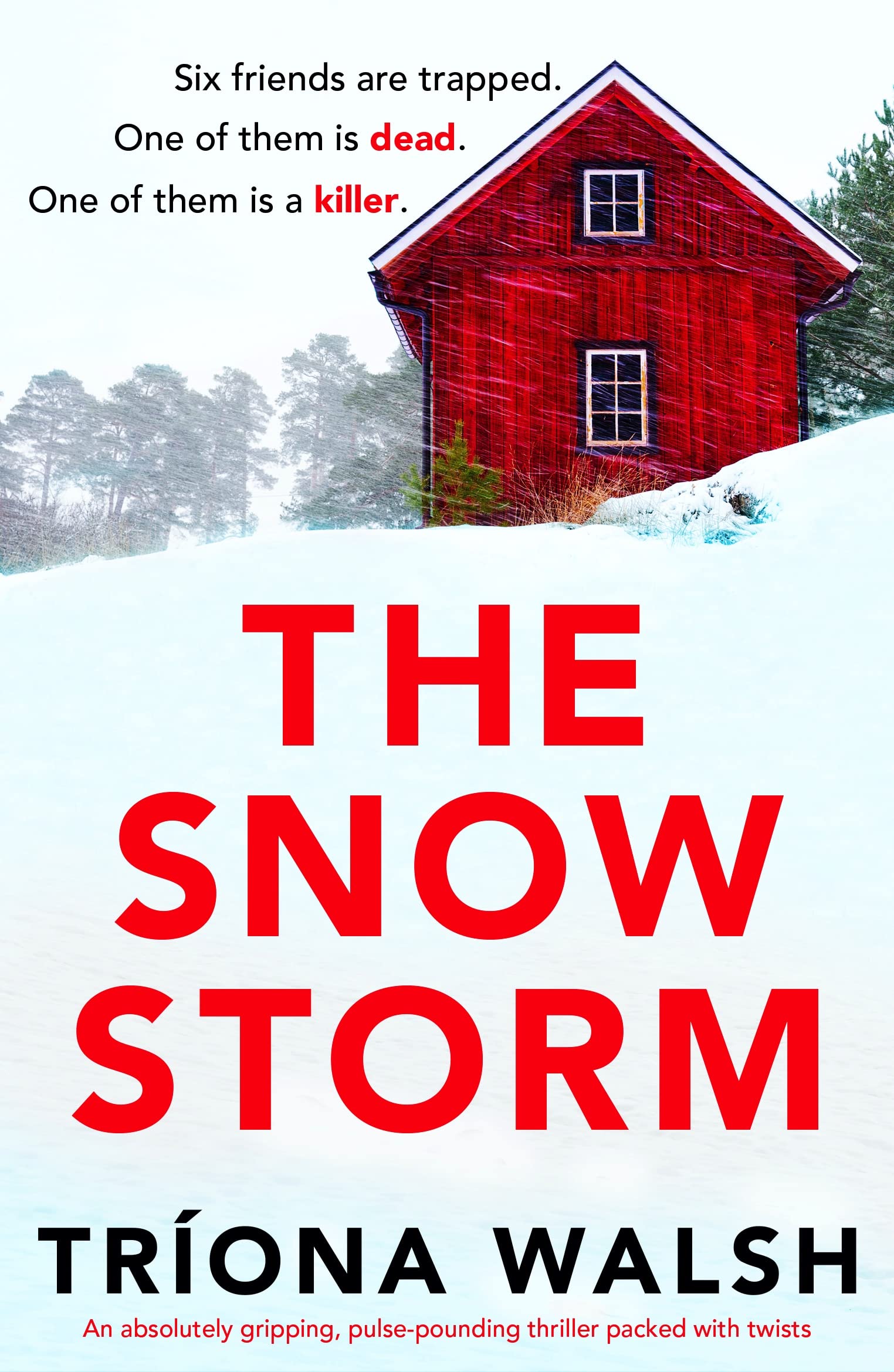 The Snowstorm by Tríona Walsh PDF Download