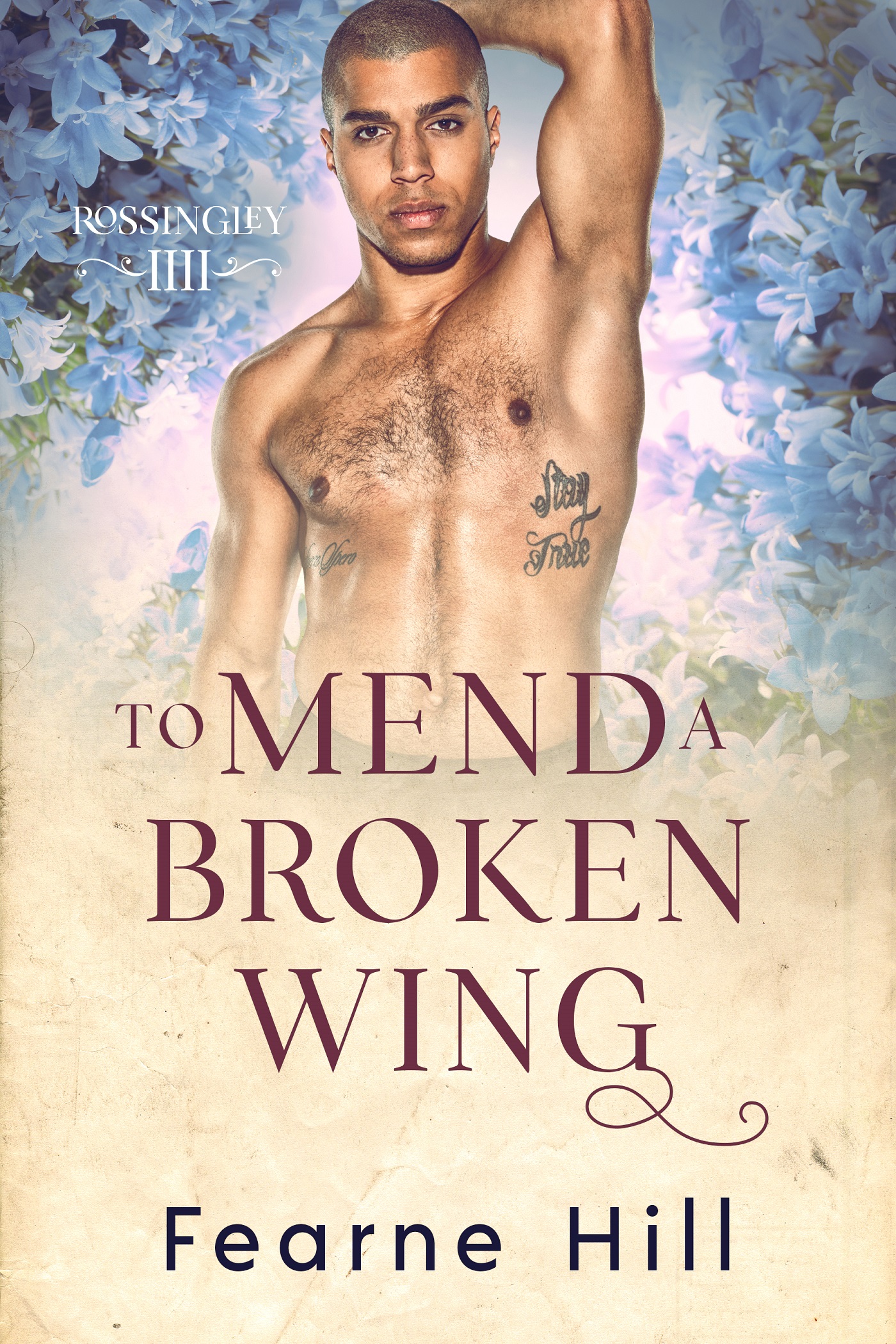 To Mend a Broken Wing by Fearne Hill PDF Download