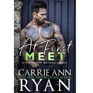 At First Meet by Carrie Ann Ryan PDF Download