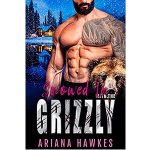 Snowed In With the Grizzly by Ariana Hawkes PDF Download
