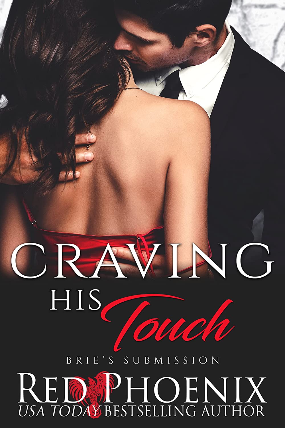 Craving His Touch by Red Phoenix PDF Download Video Library