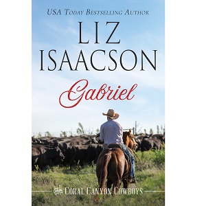 Gabriel by Liz Isaacson PDF Download Audio Book