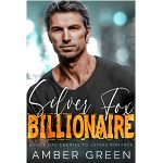 Silver Fox Billionaire by Amber Green PDF Download Video Library