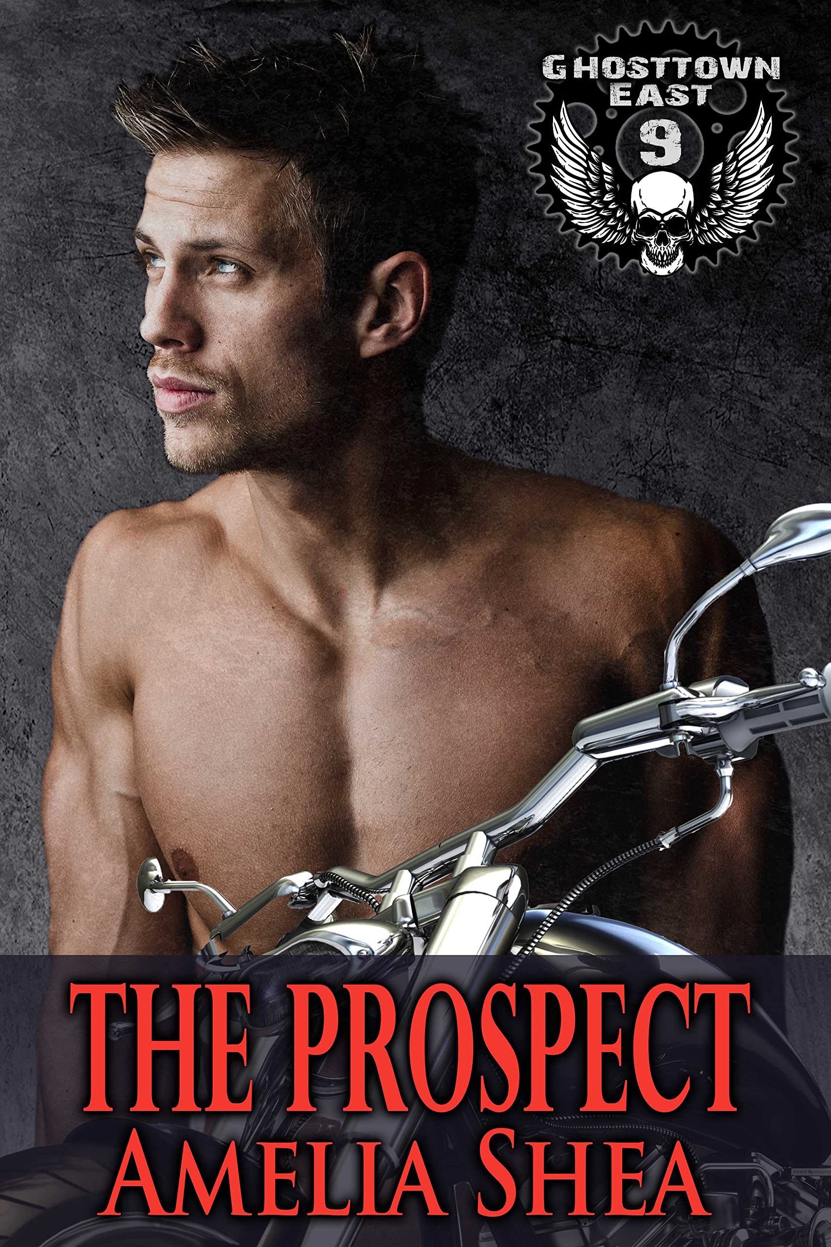 The Prospect by Amelia Shea PDF Download Video Library