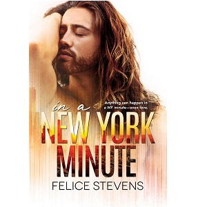 In a New York Minute by Felice Stevens PDF Download