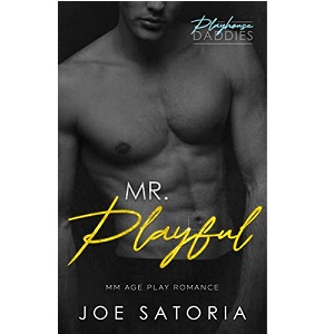 Mr. Playful by Joe Satoria PDF Download