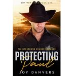 Protecting Paul by Joy Danvers PDF Download