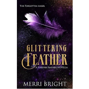 Glittering Feather by Merri Bright PDF Download