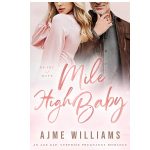 Mile High Baby by Ajme Williams PDF Download