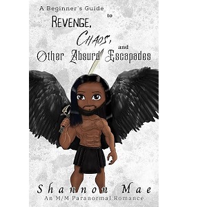 A Beginner’s Guide to Revenge, Chaos, and Other Absurd Escapades by Shannon Mae